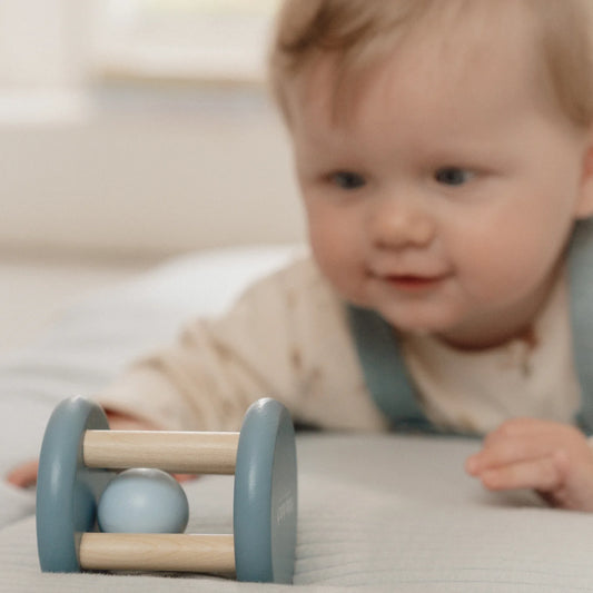 Rassel Forest Friends